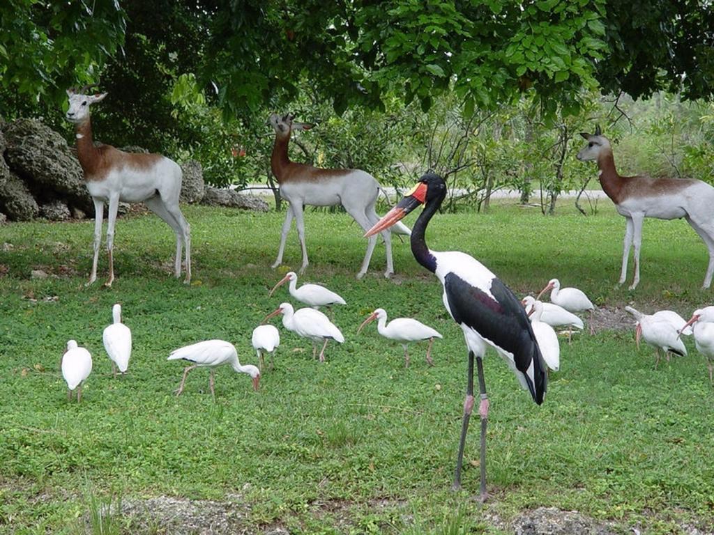 Marrets International Hotel - "Express" Cape Coast Bagian luar foto
